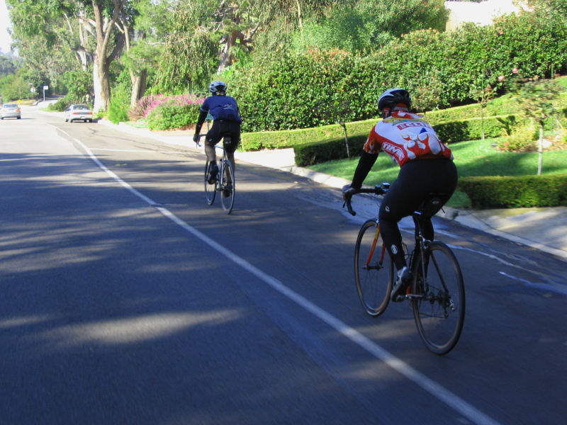palos_verdes_6