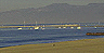 marina_del_rey