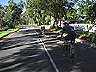 palos_verdes_5