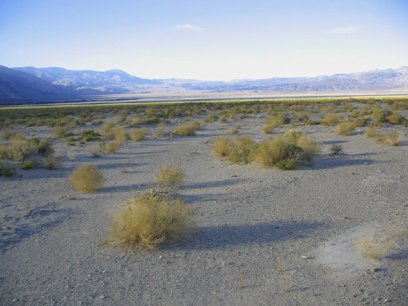 saline_valley_(1)