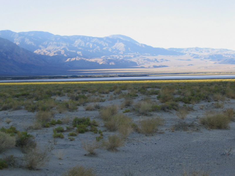 saline_valley_(2)