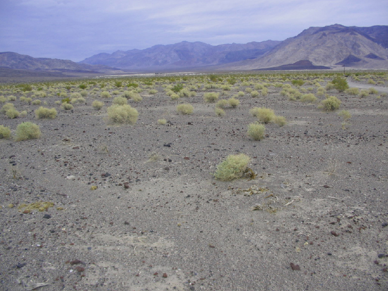 saline_valley_(3)