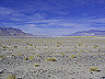 owens_lake_(2)