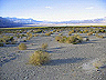 saline_valley_(1)