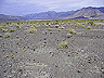 saline_valley_(3)