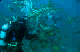 scuba