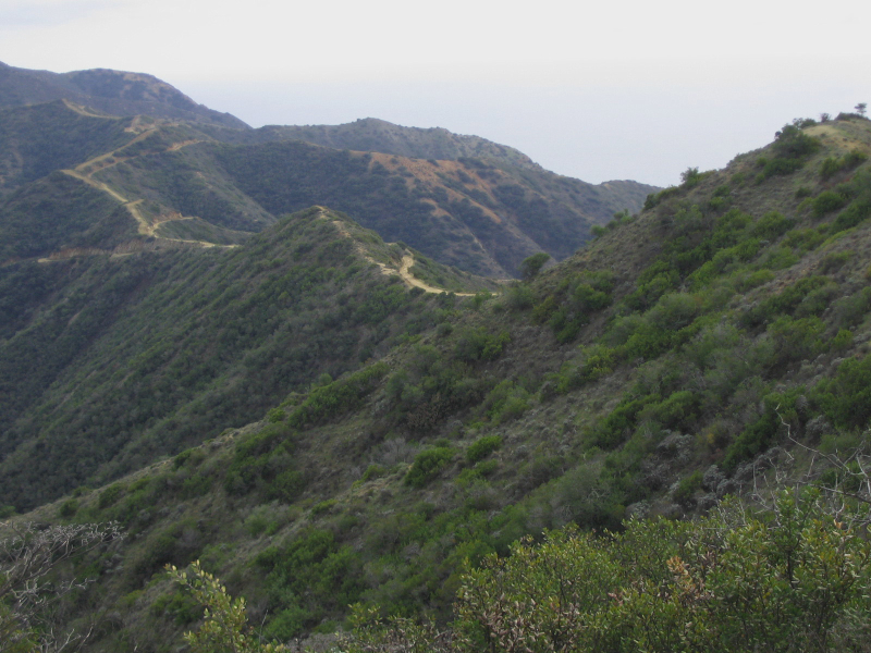 catalina2