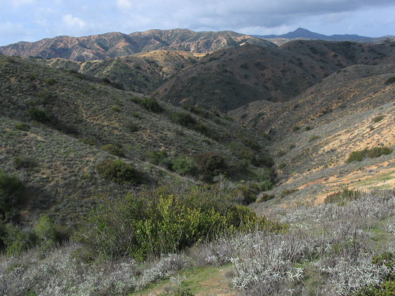 catalina4