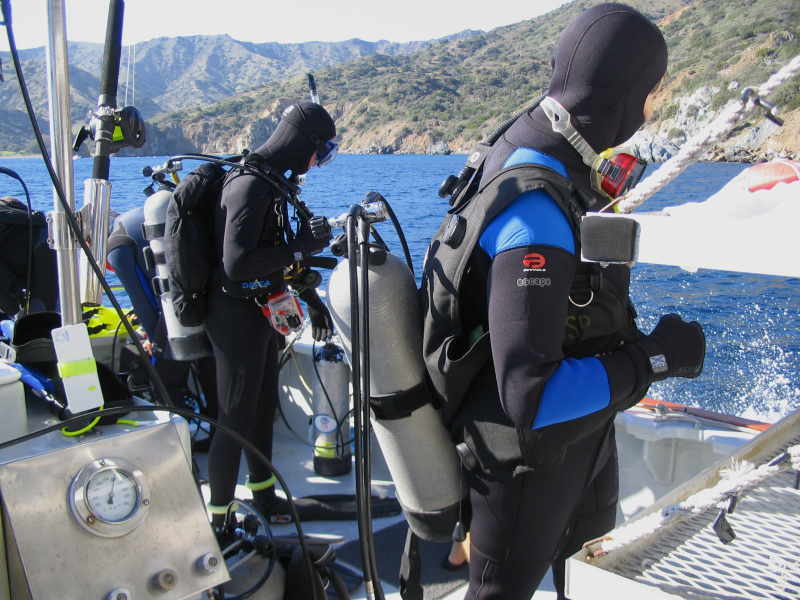 catalina_dive