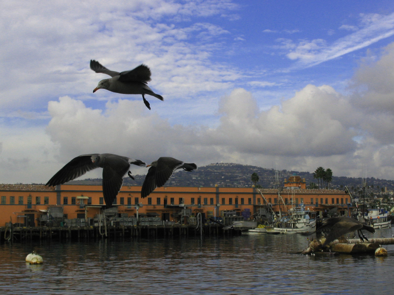 san_pedro