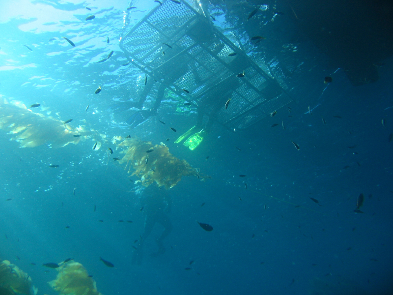 scuba2