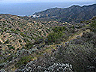 _catalina_isla2