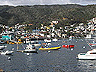 avalon