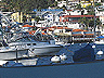 avalon2