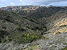 copper_canyon_(1)