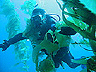 catalina9
