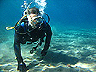 kelp3