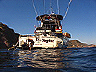 neptune