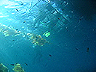 scuba2