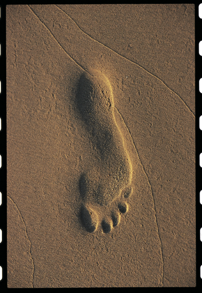 foot_print_sinai_peninsula