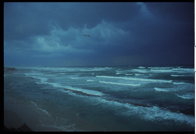 michmoret_beach