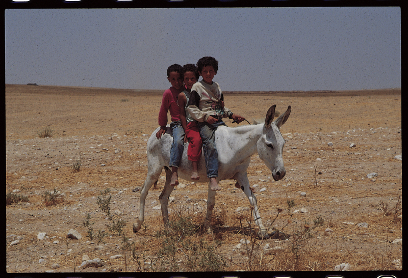 negev_desert5