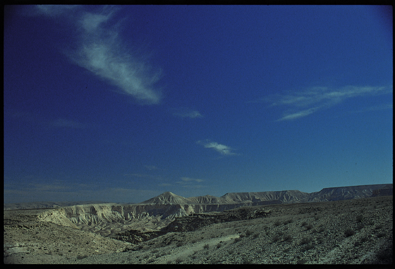 negev_desert6