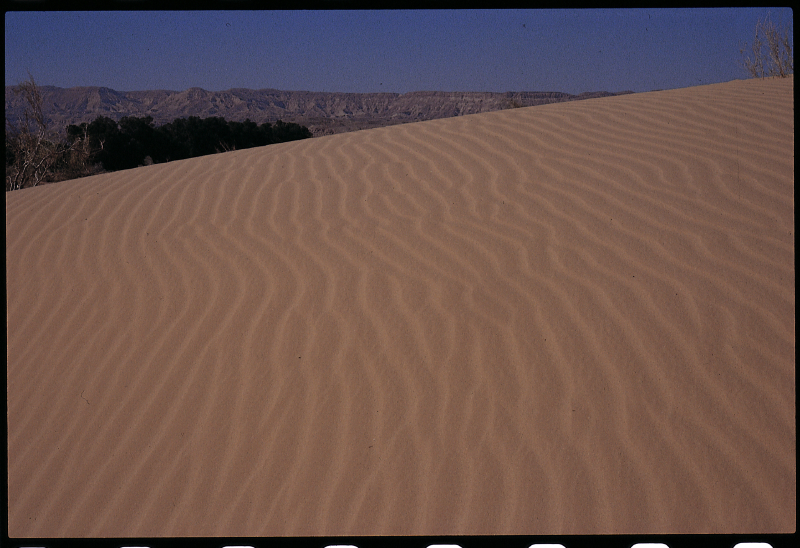 sand_dunes_ha_arava