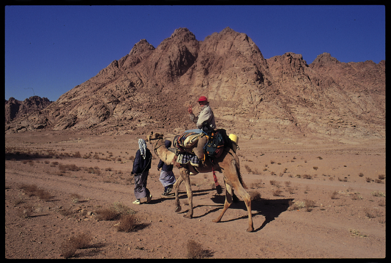 sinai