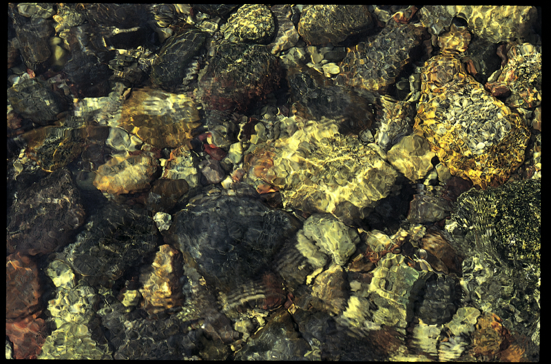 sinai_red_sea