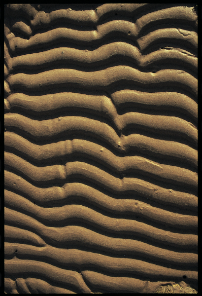 sinai_sand