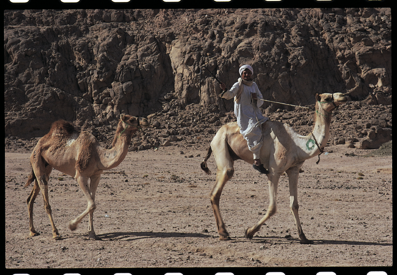 sinai_scuaba_trip5
