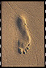 foot_print_sinai_peninsula