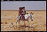 negev_desert5