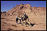 sinai