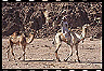 sinai_scuaba_trip5