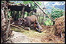 around_annapurna_trek_(1)