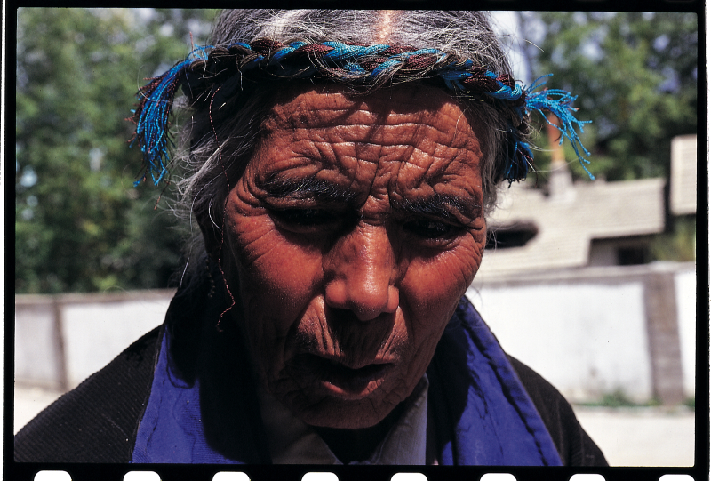 lhasa_(1)