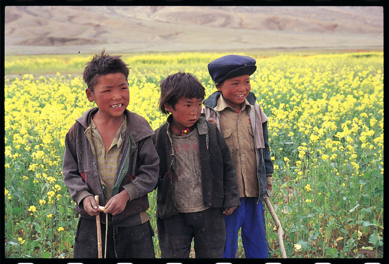 tibet_(1996)_(5)