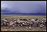 nam-tso_lake_(3)