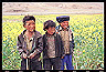 tibet_(1996)_(5)