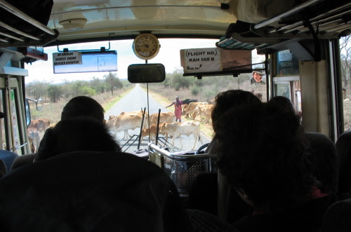 12.16.04_(04)_kenya