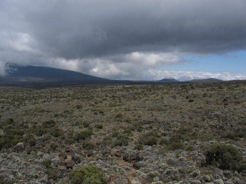 12.19.04_(07)_shira_plateau