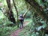 12.17.04_(21)_rain_forest