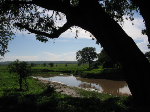 12.24.04_(13)_tarangire