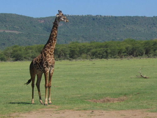 12.25.04_(07)_lakemanyara
