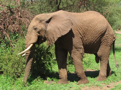 12.25.04_(14)_lakemanyara