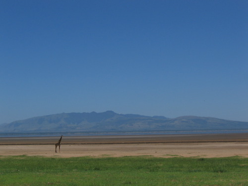12.25.04_(23)_lakemanyara