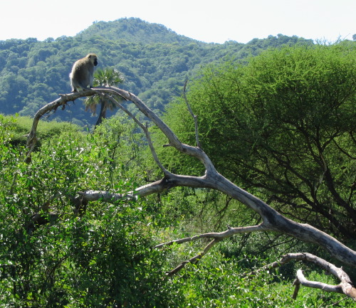 12.25.04_(25)_lakemanyara