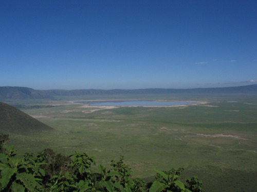 12.26.04_(10)_ngorongoro